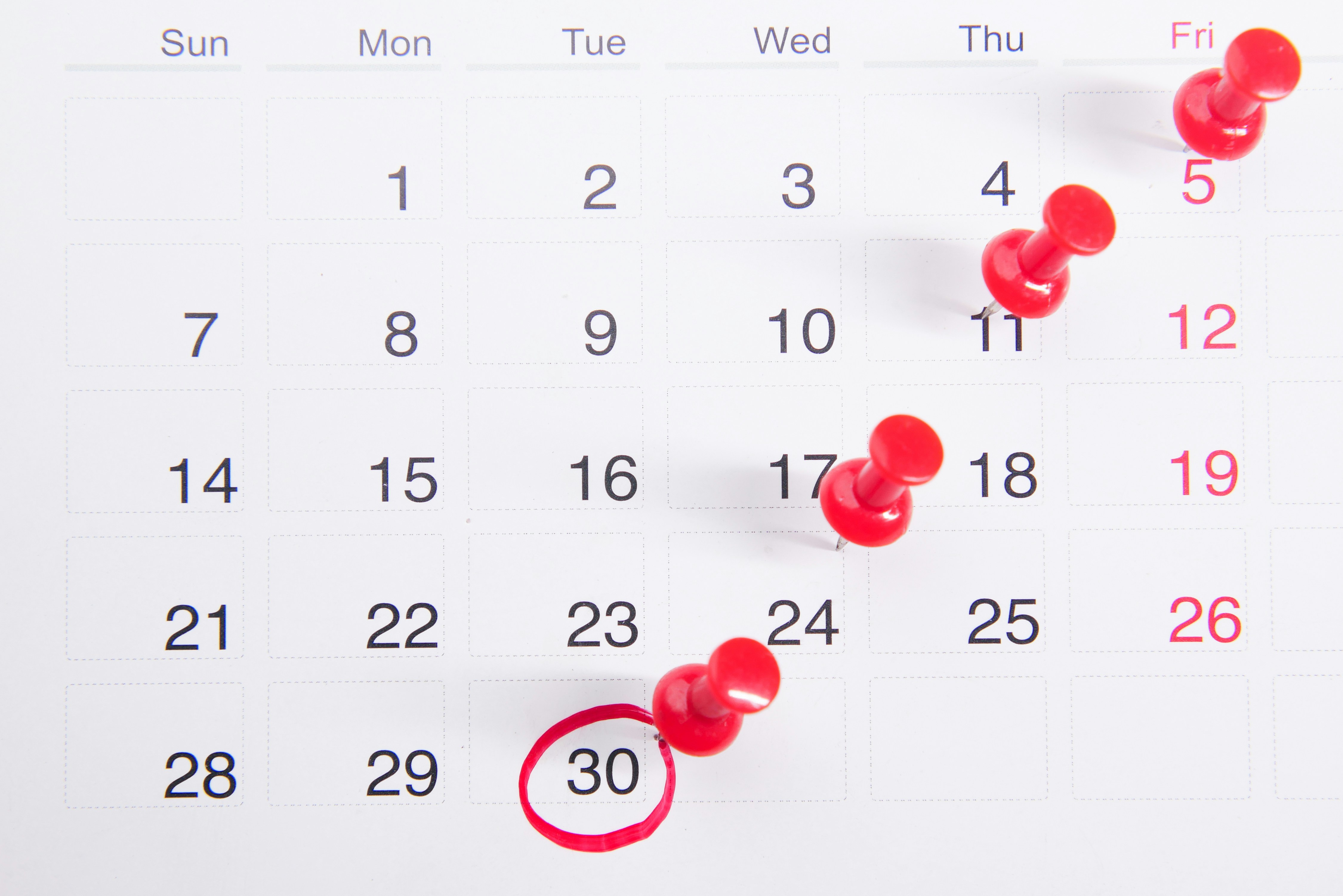 kalender