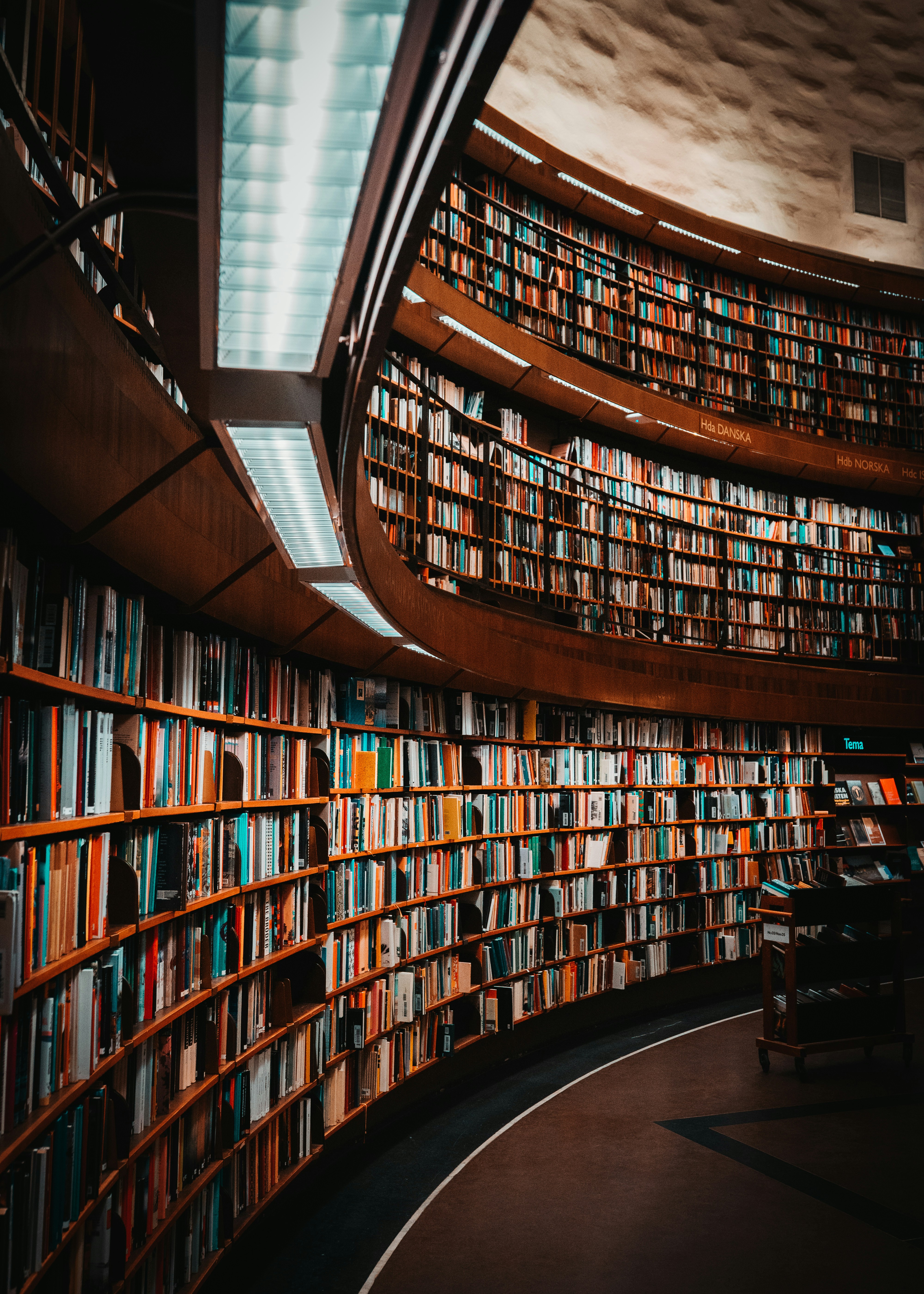 Bokhyller i biblioteket